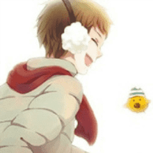 第聂蘑菇